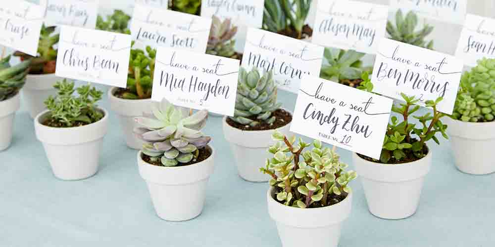 Kinh-nghiem-to-chuc-va-dat-tiec-thoi-noi-cho-be-yeu-6